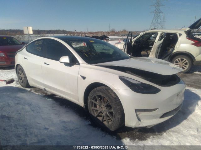 Продажа на аукционе авто 2021 Tesla Model 3, vin: 5YJ3E1EA8MF977223, номер лота: 11702022