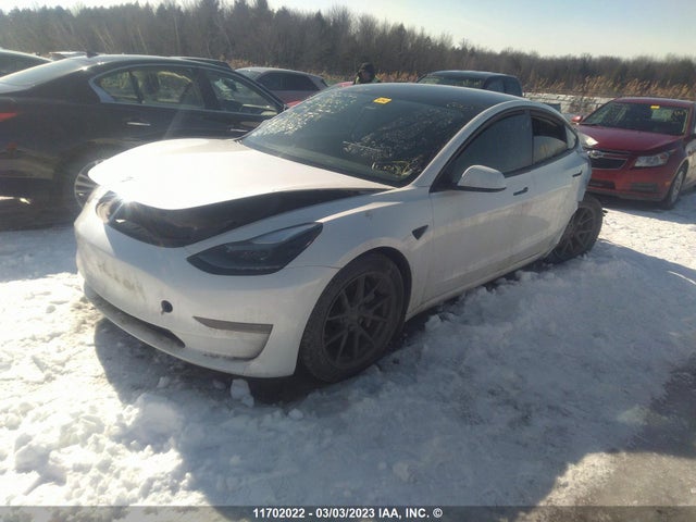 Tesla MODEL 3 2021 5YJ3E1EA8MF977223 Image 2