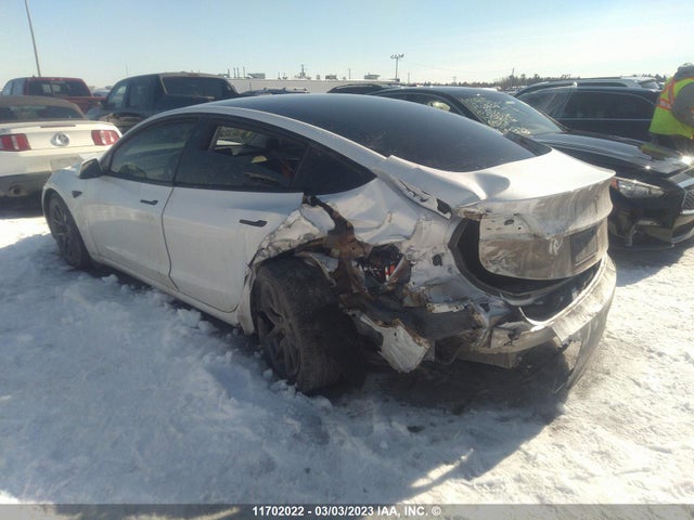 Tesla MODEL 3 2021 5YJ3E1EA8MF977223 Image 3