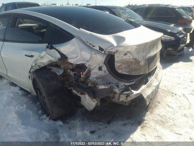 Tesla MODEL 3 2021 5YJ3E1EA8MF977223 Image 6