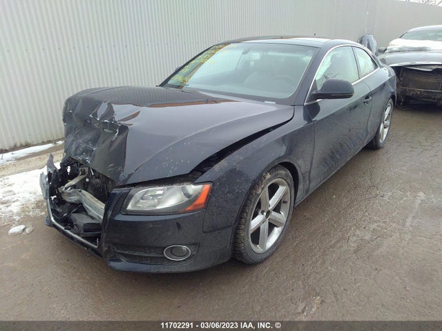 WAUDK78T48A033010 Audi A5 QUATTRO