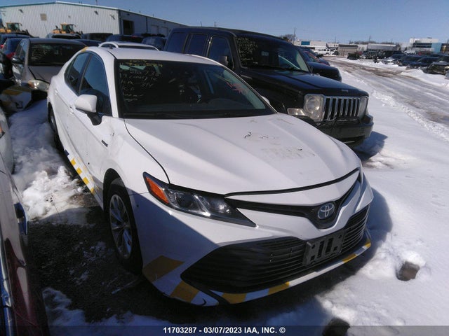 Toyota CAMRY LE 2019 4T1B31HK7KU510736 main image