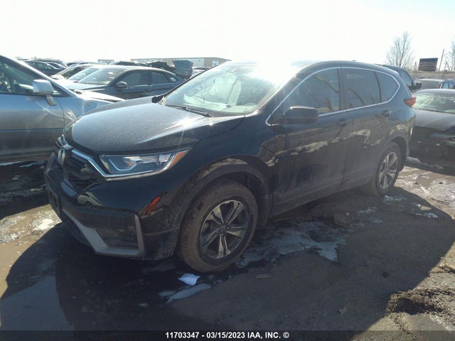 Honda CR-V LX 2020 2HKRW2H24LH213662 Image 2