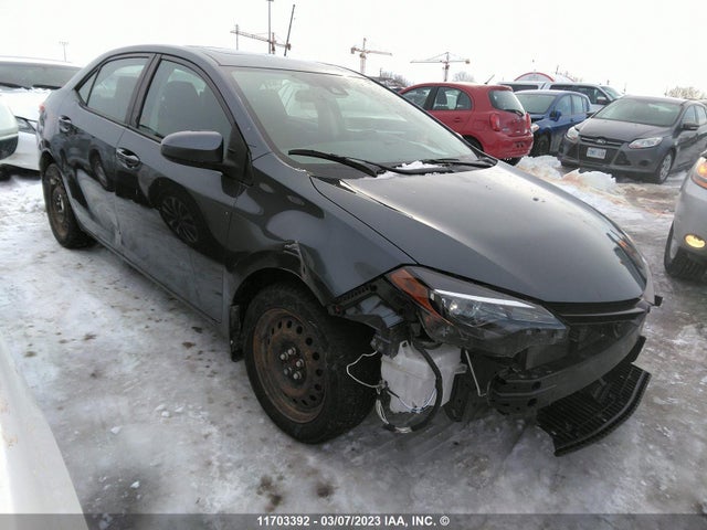 Toyota Corolla L/le/xle/se/xse 2019 2T1BURHE5KC220924 головне зображення