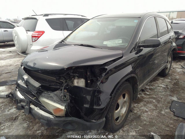 Honda CR-V LX 2007 5J6RE38327L801573 Image 2