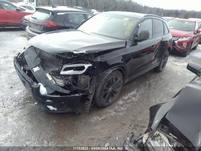 WA1LGCFP9FA096125 Audi Q5 Premium Plus