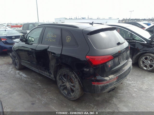 WA1LGCFP9FA096125 Audi Q5 Premium Plus