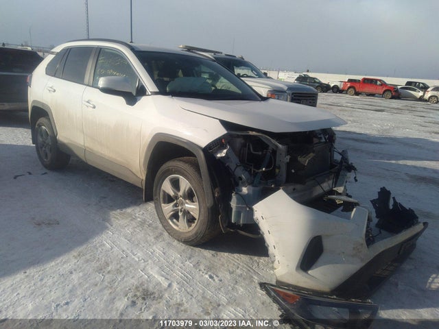 Toyota RAV4 LE 2019 2T3B1RFV4KW057829 main image
