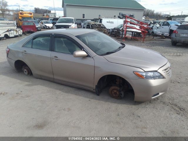 Auction sale of the 2009 Toyota Camry Se/le/xle, vin: 4T1BE46K49U324113, lot number: 11704502