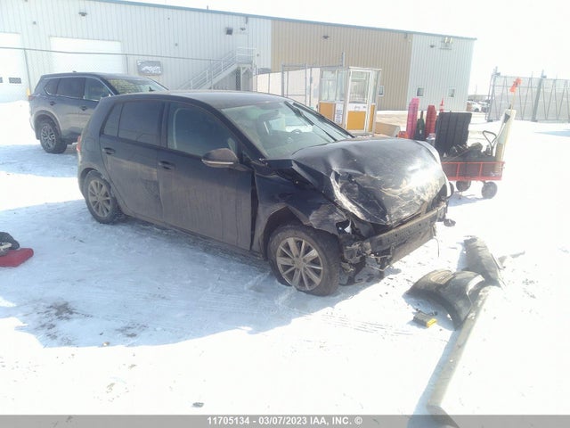 3VW217AU6FM096445 auction archive image