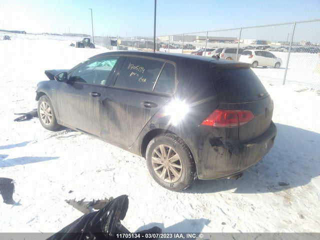 3VW217AU6FM096445 Volkswagen GOLF
