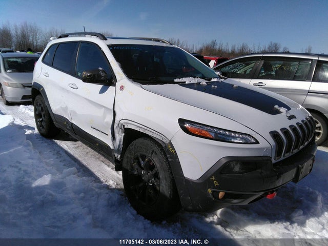 1C4PJMBS6HW552001 auction archive image