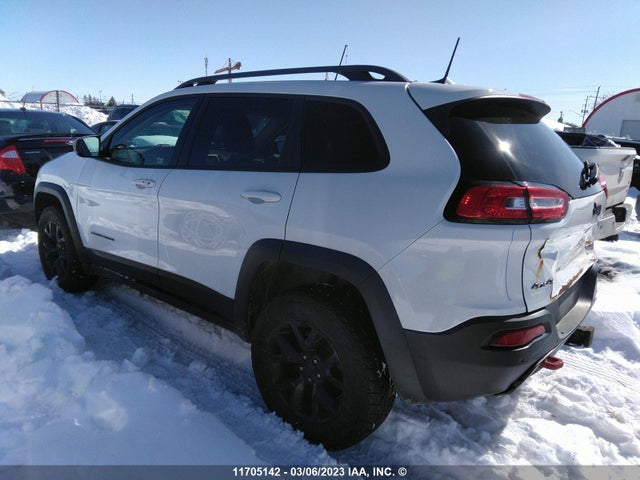 1C4PJMBS6HW552001 Jeep Cherokee Trailhawk