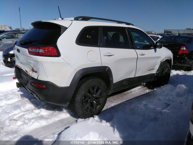 1C4PJMBS6HW552001 Jeep Cherokee Trailhawk