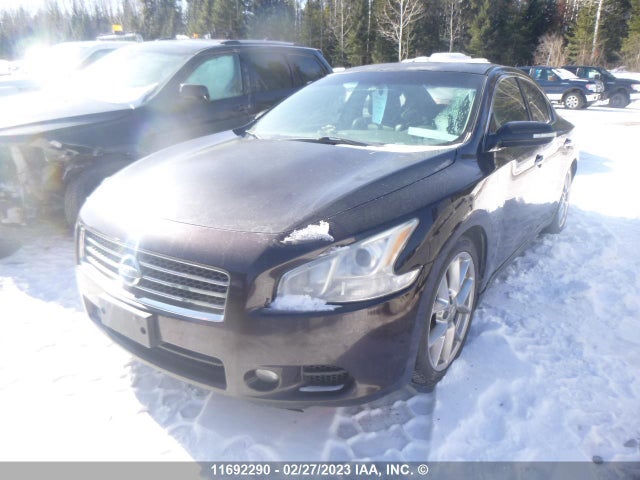 Nissan Maxima 2010 1N4AA5AP8AC812338 Image 3