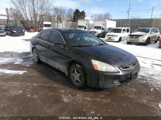 2004 1HGCM56474A804290 главное изображение
