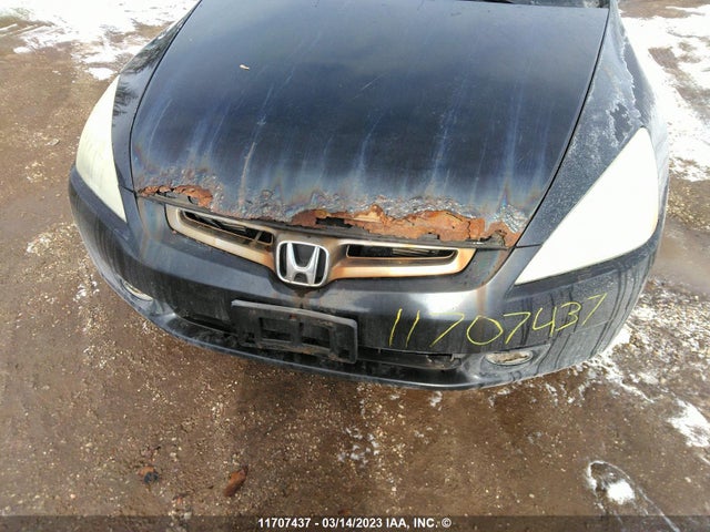 Honda ACCORD 2004 1HGCM56474A804290 Image 7