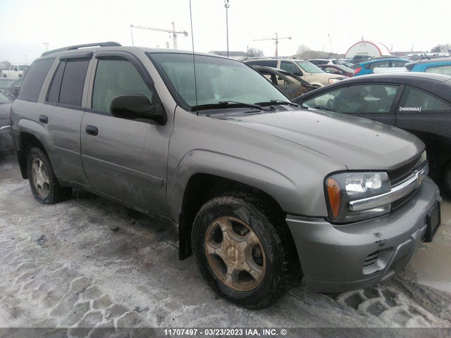Chevrolet Trailblazer Ls/lt 2007 1GNDT13S872192432 main image