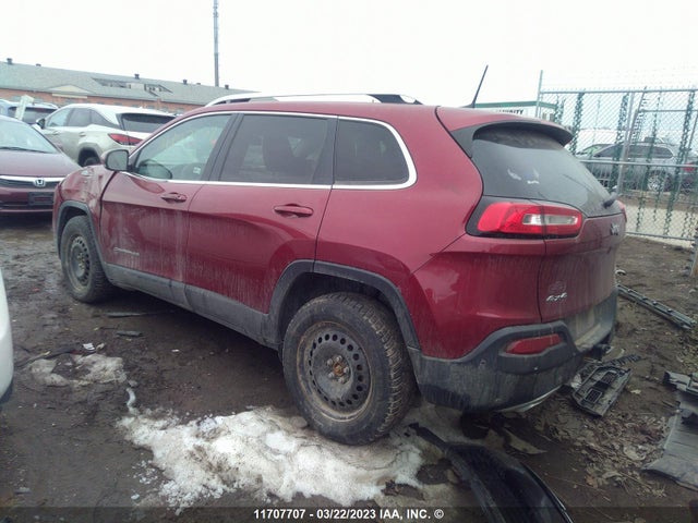 Jeep Cherokee Limited 2016 1C4PJMDS0GW263952 Image 3