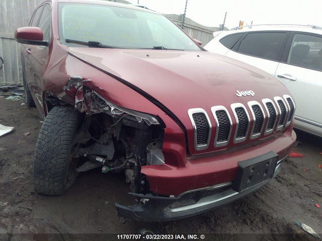 Jeep Cherokee Limited 2016 1C4PJMDS0GW263952 Image 6