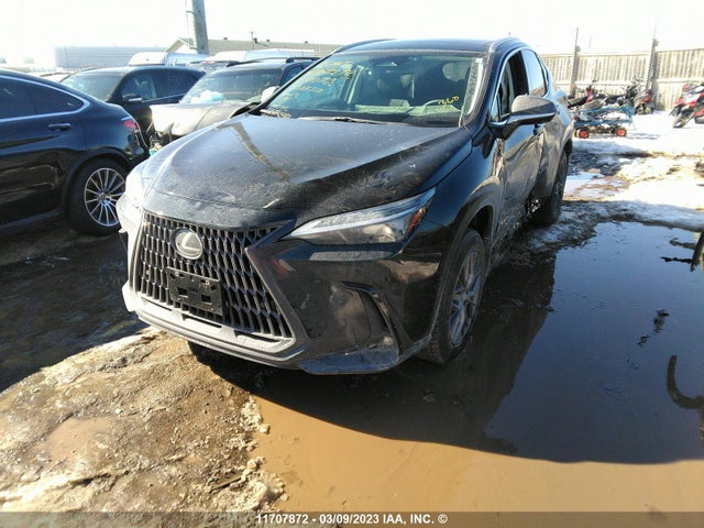 2T2GKCEZ4PC010723 Lexus NX 350H