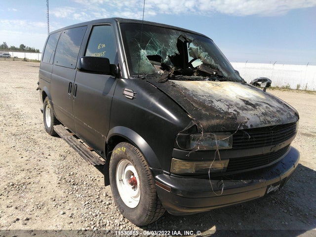 Chevrolet Astro 1999 1GNDM19WXXB165949 zdjęcie główne