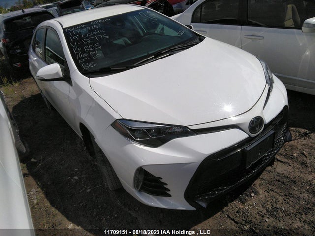 Toyota Corolla L/le/xle/se/xse 2019 2T1BURHE7KC127175 zdjęcie główne