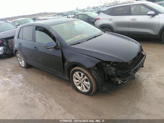 3VW217AU3FM018513 auction archive image