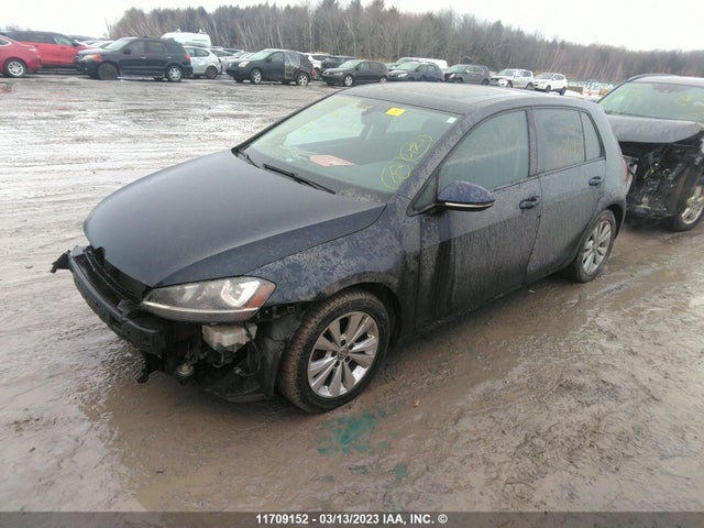 3VW217AU3FM018513 Volkswagen GOLF
