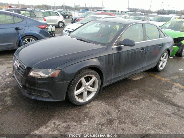 WAUFFCFL6BN048147 Audi A4 Premium Plus