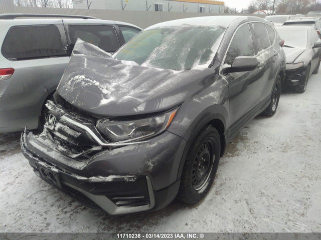 Honda CR-V LX 2020 2HKRW1H23LH000907 Image 2