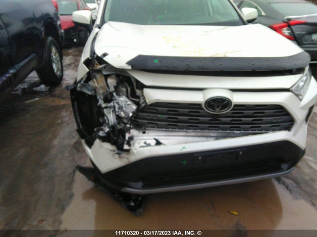 Toyota Rav4 Limited 2019 2T3D1RFVXKC029060 Image 6