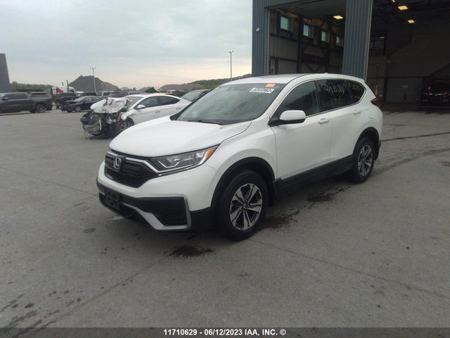 Honda CR-V LX 2020 2HKRW2H28LH210974 Image 2