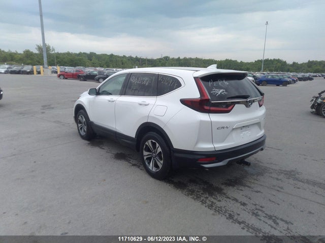 Honda CR-V LX 2020 2HKRW2H28LH210974 Image 4