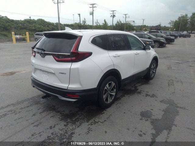 Honda CR-V LX 2020 2HKRW2H28LH210974 Image 5