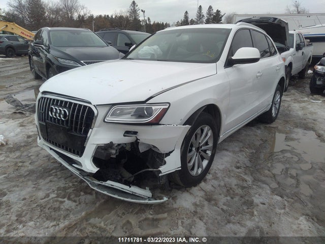 WA1LFCFP5FA031260 Audi Q5 Premium Plus