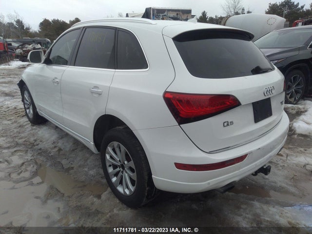 WA1LFCFP5FA031260 Audi Q5 Premium Plus
