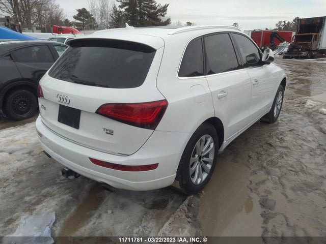 WA1LFCFP5FA031260 Audi Q5 Premium Plus