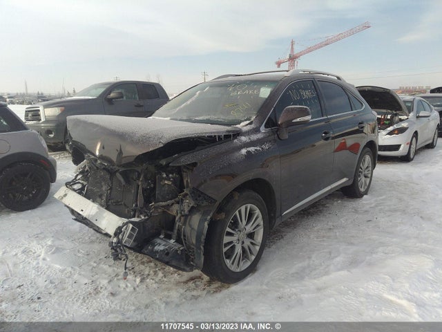 2T2BK1BA8DC178244 Lexus Rx 350/base/f Sport