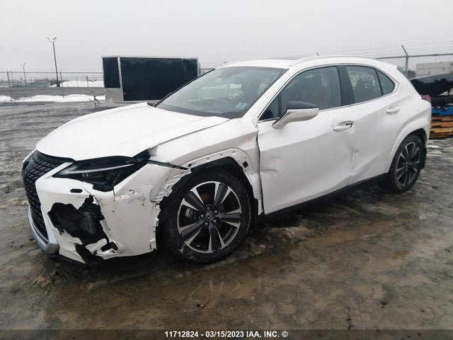 JTHL9JBHXP2064183 Lexus Ux 250h Base/250h F Sport/25