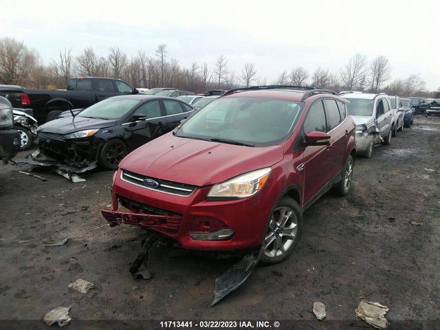 Ford ESCAPE SEL 2013 1FMCU0H99DUD73830 Image 2