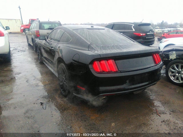 Ford MUSTANG GT 2017 1FA6P8CF3H5341188 Image 3