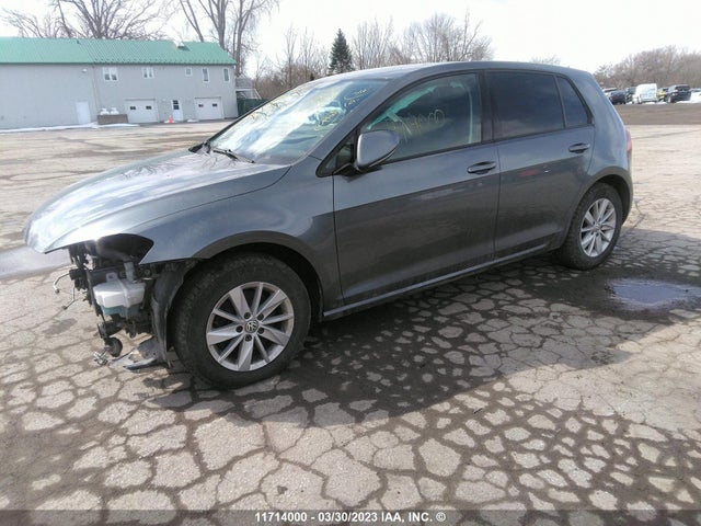 3VW217AU3HM046461 Volkswagen Golf S/wolfsburg/se/sel