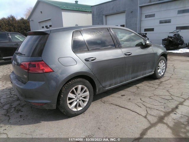 3VW217AU3HM046461 Volkswagen Golf S/wolfsburg/se/sel