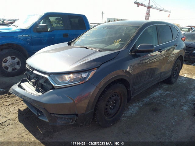 Honda CR-V LX 2019 2HKRW2H26KH152135 Image 2