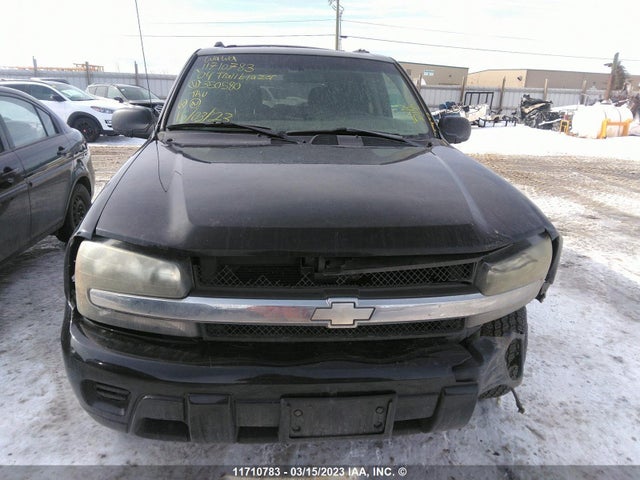 Chevrolet Trailblazer Ls/lt 2004 1GNDT13S942350580 Image 7