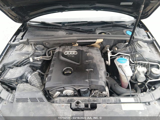 WAUFFCFL3BN037672 Audi A4 Premium Plus