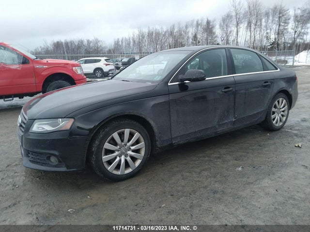 WAUFFCFL3BN037672 Audi A4 Premium Plus