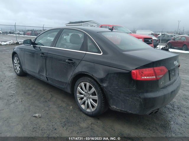 WAUFFCFL3BN037672 Audi A4 Premium Plus