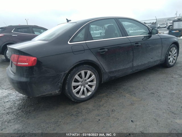 WAUFFCFL3BN037672 Audi A4 Premium Plus